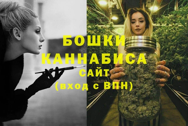 прущие грибы Кинешма
