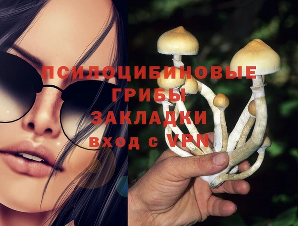 кокаин Краснослободск