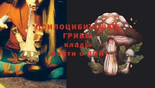 кокаин Краснослободск