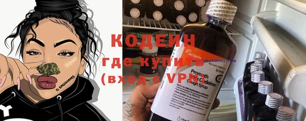 СК Коряжма