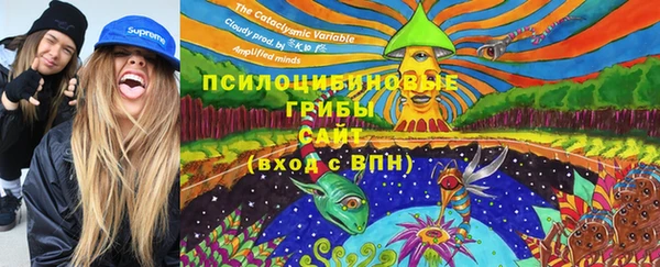 СК Коряжма