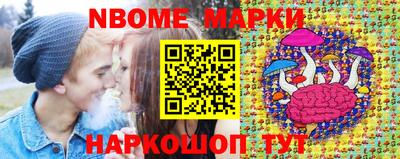 стаф Гай