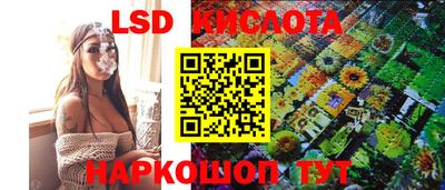 стаф Гай
