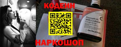стаф Гай