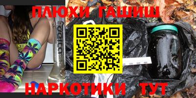 стаф Гай