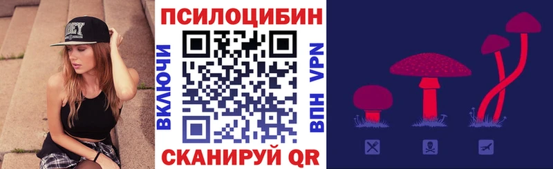 купить наркоту  Сокол  Галлюциногенные грибы MAGIC MUSHROOMS 