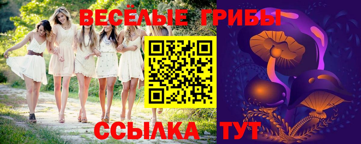 Сокол  Бошки Шишки  Cocaine  ГАШ  Вход с VPN  МЕФ  